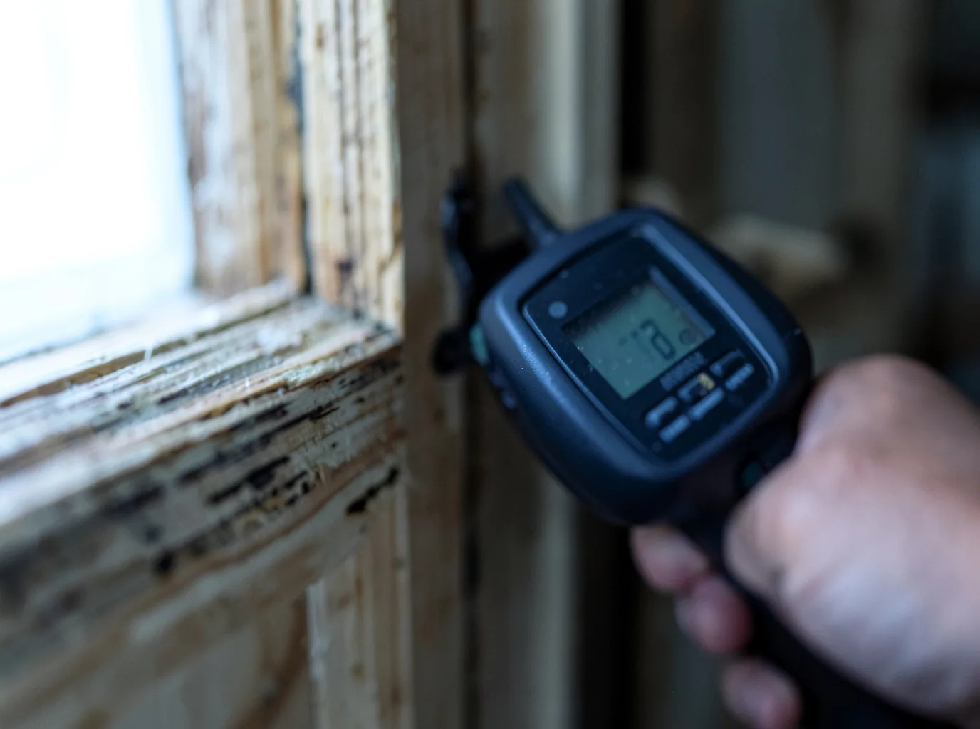 Moisture Inspection And Documentation in Ratcliff, TX